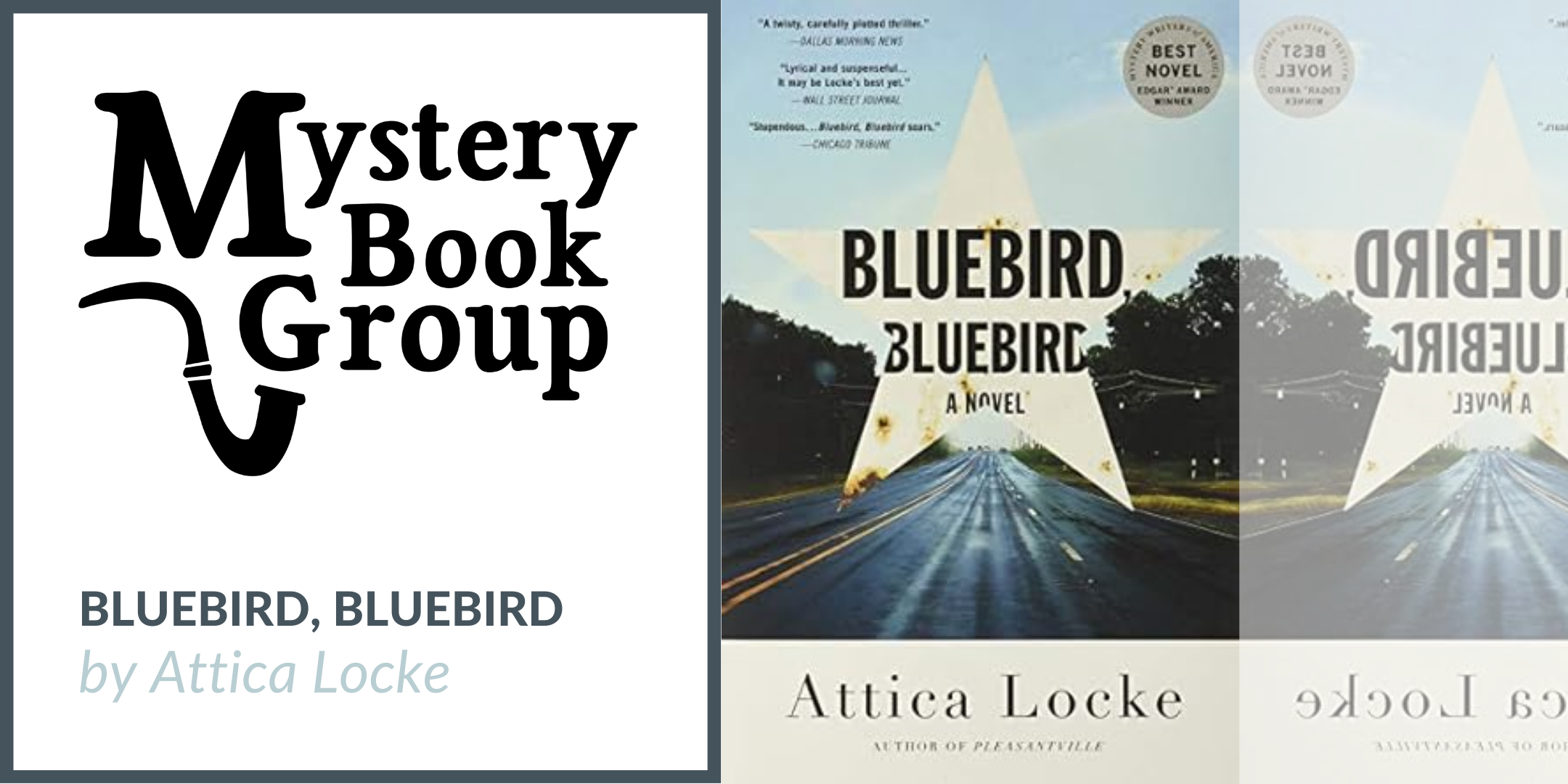 Mystery Book Group at the Lake Forest Library